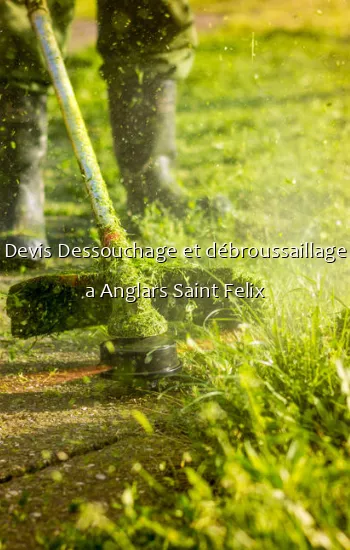 Devis Dessouchage et débroussaillage a Anglars Saint Felix