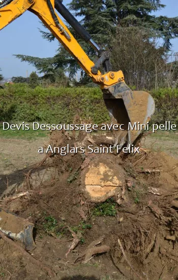 Devis Dessoussage avec Mini pelle a Anglars Saint Felix