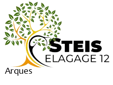 elagueur-steis-elagage