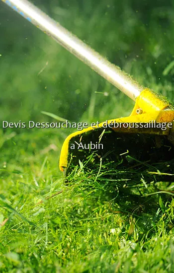 Devis Dessouchage et débroussaillage a Aubin