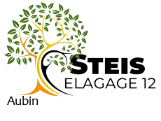 elagueur-steis-elagage