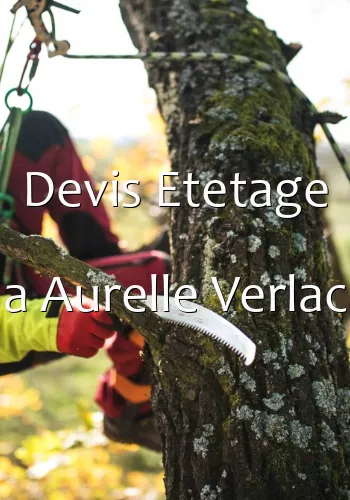 Devis Etetage a Aurelle Verlac