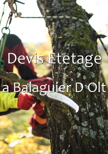 Devis Etetage a Balaguier D Olt