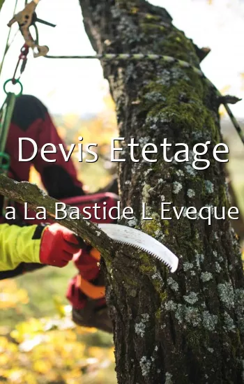 Devis Etetage a La Bastide L Eveque