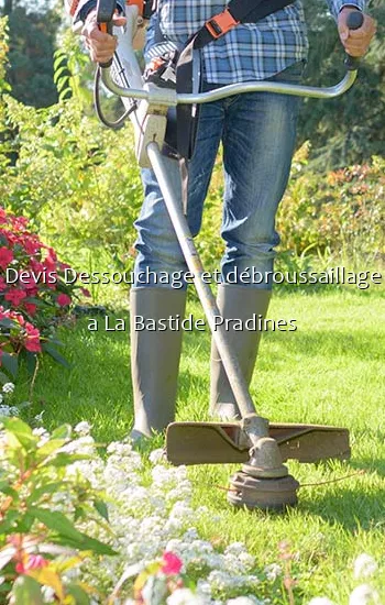 Devis Dessouchage et débroussaillage a La Bastide Pradines