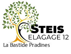 elagueur-steis-elagage