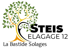 elagueur-steis-elagage