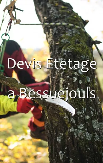 Devis Etetage a Bessuejouls