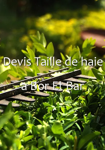 Devis Taille de haie a Bor Et Bar