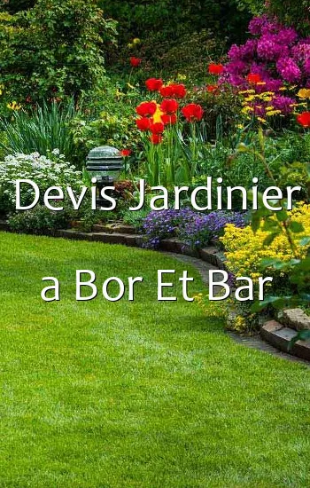 Devis Jardinier a Bor Et Bar