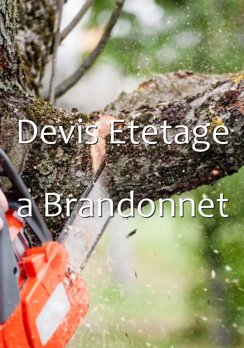Devis Etetage a Brandonnet