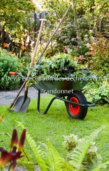 Devis Evacuation des déchets verts a Brandonnet