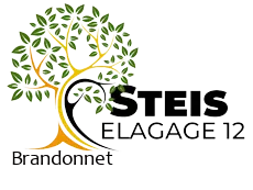 elagueur-steis-elagage