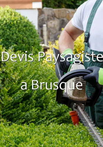 Devis Paysagiste a Brusque