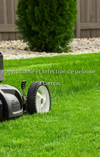 Devis Tonte et refection de pelouse a Camjac