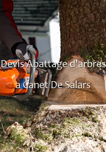 Devis Abattage d'arbres a Canet De Salars