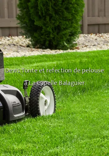 Devis Tonte et refection de pelouse a La Capelle Balaguier