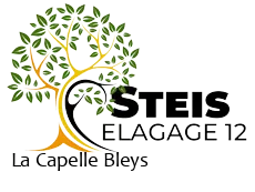 elagueur-steis-elagage