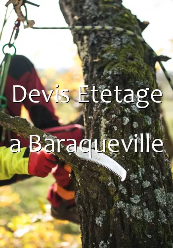 Devis Etetage a Baraqueville