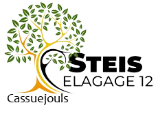 elagueur-steis-elagage