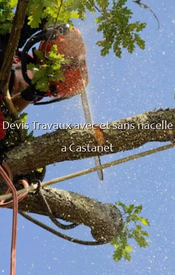Devis Travaux avec et sans nacelle a Castanet