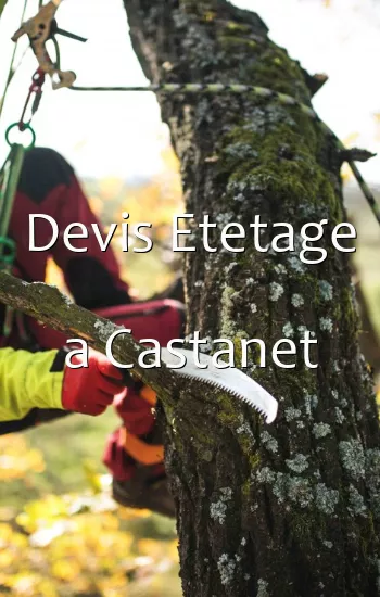 Devis Etetage a Castanet