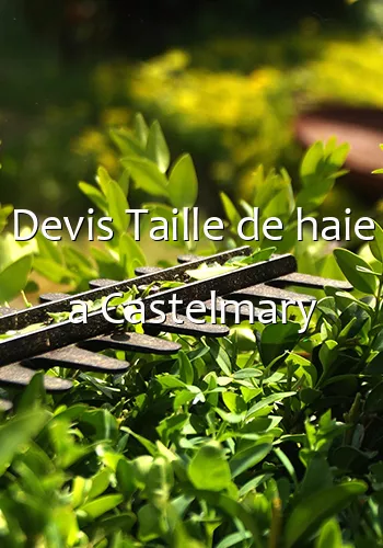 Devis Taille de haie a Castelmary