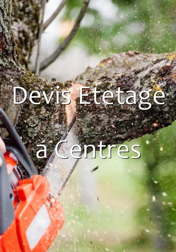 Devis Etetage a Centres