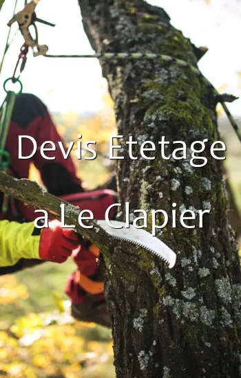Devis Etetage a Le Clapier