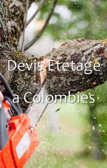 Devis Etetage a Colombies