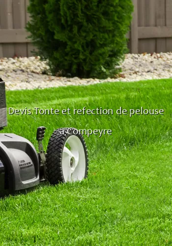 Devis Tonte et refection de pelouse a Compeyre
