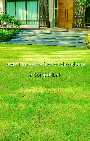 Devis Tonte et refection de pelouse a Compolibat