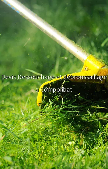 Devis Dessouchage et débroussaillage a Compolibat
