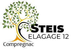 elagueur-steis-elagage