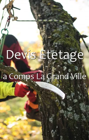Devis Etetage a Comps La Grand Ville