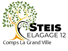 elagueur-steis-elagage