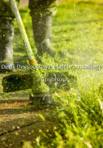 Devis Dessouchage et débroussaillage a Coubisou