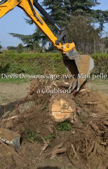Devis Dessoussage avec Mini pelle a Coubisou