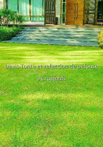 Devis Tonte et refection de pelouse a Cruejouls