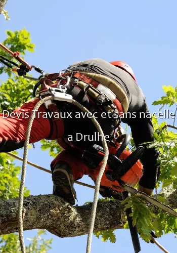 Devis Travaux avec et sans nacelle a Drulhe