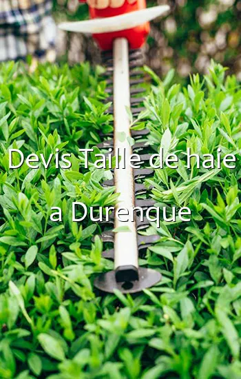 Devis Taille de haie a Durenque
