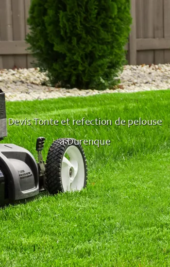 Devis Tonte et refection de pelouse a Durenque