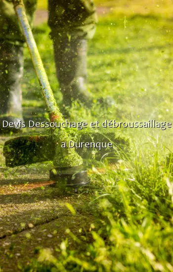 Devis Dessouchage et débroussaillage a Durenque