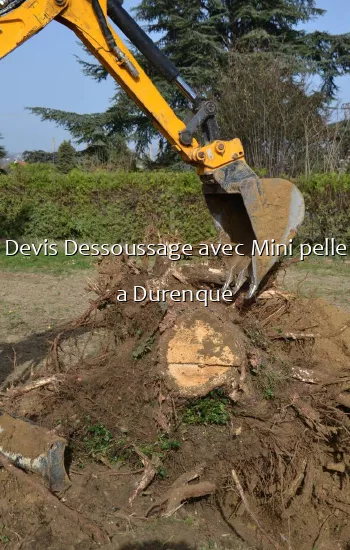 Devis Dessoussage avec Mini pelle a Durenque