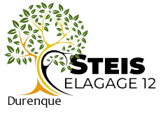 elagueur-steis-elagage