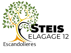 elagueur-steis-elagage