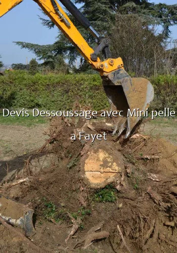 Devis Dessoussage avec Mini pelle a Fayet