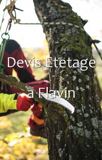 Devis Etetage a Flavin