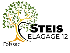 elagueur-steis-elagage