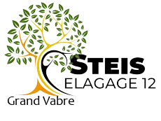elagueur-steis-elagage